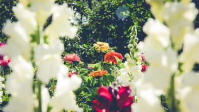 effective bookkeeping for growth